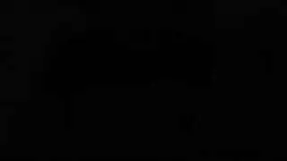 غض ليموزين هولندي