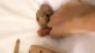 صنم طوكيو هنتاي