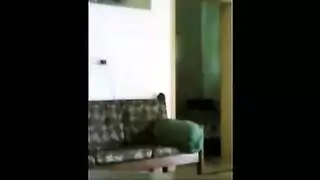 إباحية ويب حرة: شقيقات تمارس الجنس وتئن بصوت عالٍ