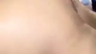 شيلي الديك ضخمة الأفريقي