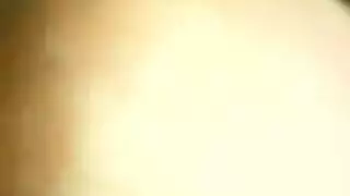 الإحليل التنفس اللعب أسد امريكي