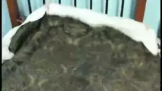 دُخُولٌ شَرْجِيّ، تَدْرِيبٌ حَلْقِيّ، ثُمَّ ضَرْبٌ قَاسٍ