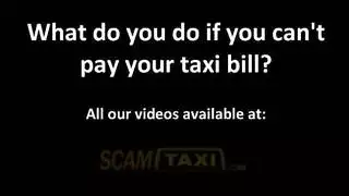 أسد امريكي المقعد الخلفي قديم ويونغ