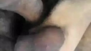 سكس زب كبير جدا مشعر يقذف المني